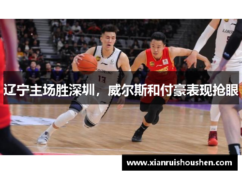 辽宁主场胜深圳,威尔斯和付豪表现抢眼